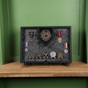 May include: A black display case containing medals and awards, set against a dark grey background. The case features a central emblem and medals with coloured ribbons. The display case is on a wooden surface, with a green backdrop.