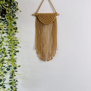 Könnte beinhalten: Senffarbener Makramee-Wandbehang mit Halbkreis-Design und Fransen. Die Wanddekoration wird an einem Holzdübel und einem geflochtenen Seil aufgehängt. Der Wandbehang wird vor einer weißen Wand mit einer grünen Pflanze im Hintergrund gezeigt.