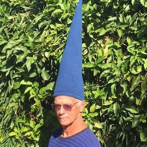 May include: A blue gnome hat with a long, pointed top. The hat is worn by a person wearing a blue and black striped shirt and sunglasses. The background is a dense green hedge.