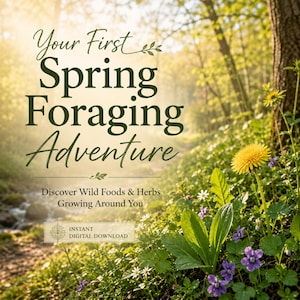 Può includere: Una grafica digitale con il testo Your First Spring Foraging Adventure e Discover Wild Foods & Herbs Growing Around You, che mostra un sentiero boschivo soleggiato, un dente di leone giallo brillante e piccoli fiori selvatici viola e bianchi.