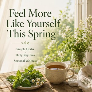 Kräuterfrühling-Reset-Anleitung | Wellness & Natürliches Leben PDF