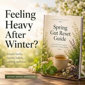 Beginner Gut Reset Guide | Gentle Herbal Support for Digestion | Printable PDF