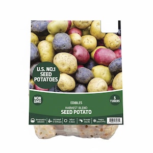 Könnte beinhalten: Eine Packung U.S. No. 1 Saatkartoffeln, eine Erntemischung mit gelben, roten und violetten Sorten. Die Packung zeigt den Text "NON GMO" und "5 TUBERS".