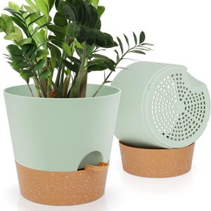 May include: Two-piece plant pot set. The top portion is a light green, cylindrical pot with a drainage hole and a matching, speckled, brown base. The second pot is a light green pot with a perforated bottom. A green plant with dark green leaves is in the pot.