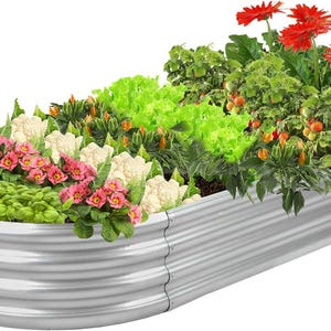 May include: A galvanized steel raised garden bed filled with a variety of plants. The bed contains green leafy vegetables, cauliflower, pink flowers, and red gerbera daisies. The bed is a long, rectangular shape.