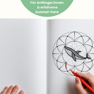 May include: A coloring book open to a page with a geometric whale design. A hand holds a red pencil, coloring the image. The text "F&uuml;r Anf&auml;nger:innen & erfahrene Ausmal-Fans" is in a green circle at the top.