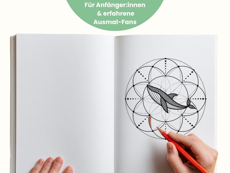 May include: A coloring book open to a page with a geometric whale design. A hand holds a red pencil, coloring the image. The text "F&uuml;r Anf&auml;nger:innen & erfahrene Ausmal-Fans" is in a green circle at the top.