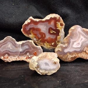 May include: Four polished agate slices with irregular, organic shapes. The stones display concentric banding in shades of deep red, translucent white, soft lavender, and earthy brown, with rough, textured outer edges and crystalline centers.