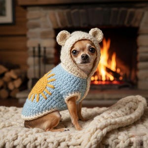 Könnte beinhalten: Ein kleiner Hund trägt einen handgefertigten Häkelpullover und eine Kapuze mit Bärenohren. Der Pullover ist hellblau mit einem gelben Sonnendesign. Der Hund sitzt auf einer cremefarbenen Decke vor einem Kamin.