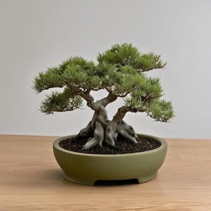 Artificial Juniper Bonsai Tree Faux Potted Plant Ceramic Pot Home Office Shelf Table Decor