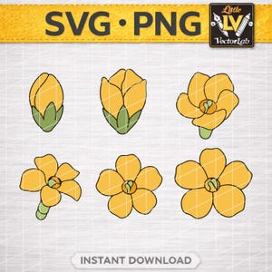 May include: A digital graphic set featuring six yellow flower illustrations in various stages of bloom, from a closed bud to a fully opened blossom, with green sepals and stems, labeled with the text SVG PNG and Little VectorLab.