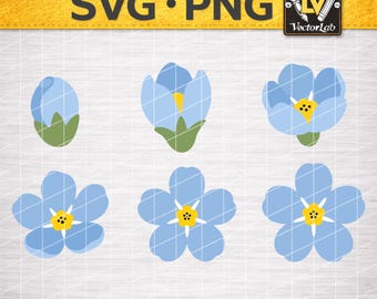 Forget Me Not Blooming Process SVG | 6 Stages Floral PNG | Minimal Wildflower Remembrance Design | Botanical Cut File | Blue Flower DXF