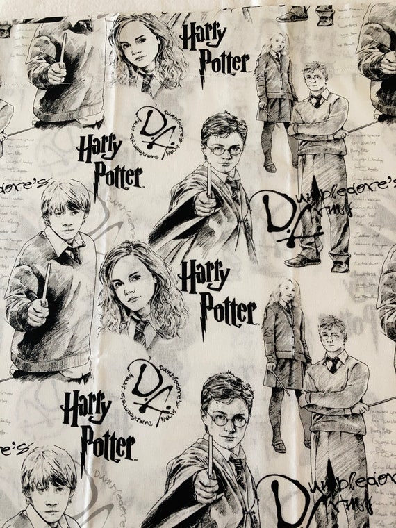 Harry Potter travel pillowcase