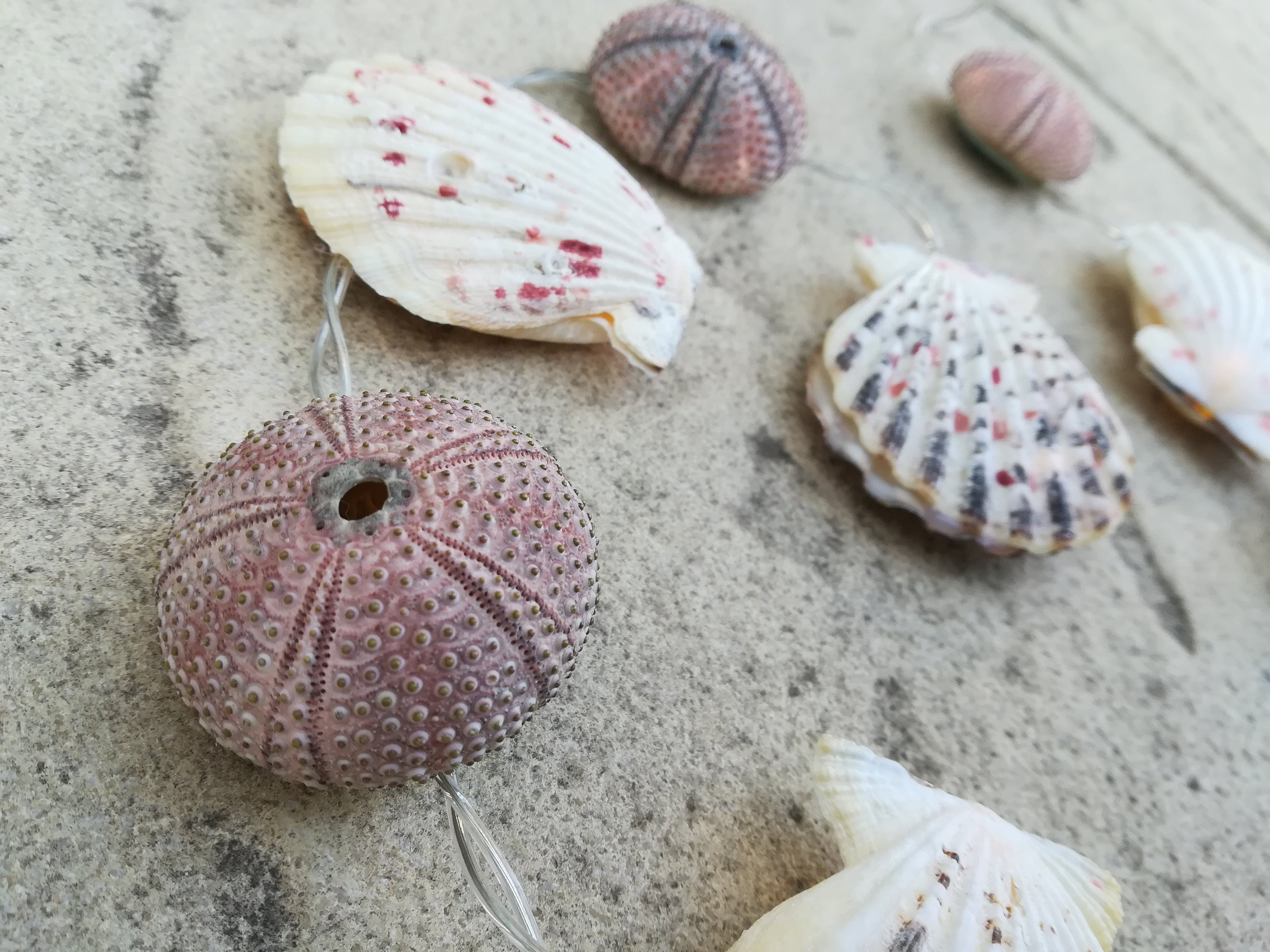 Sea Urchin & seashells light string ball light Etsy