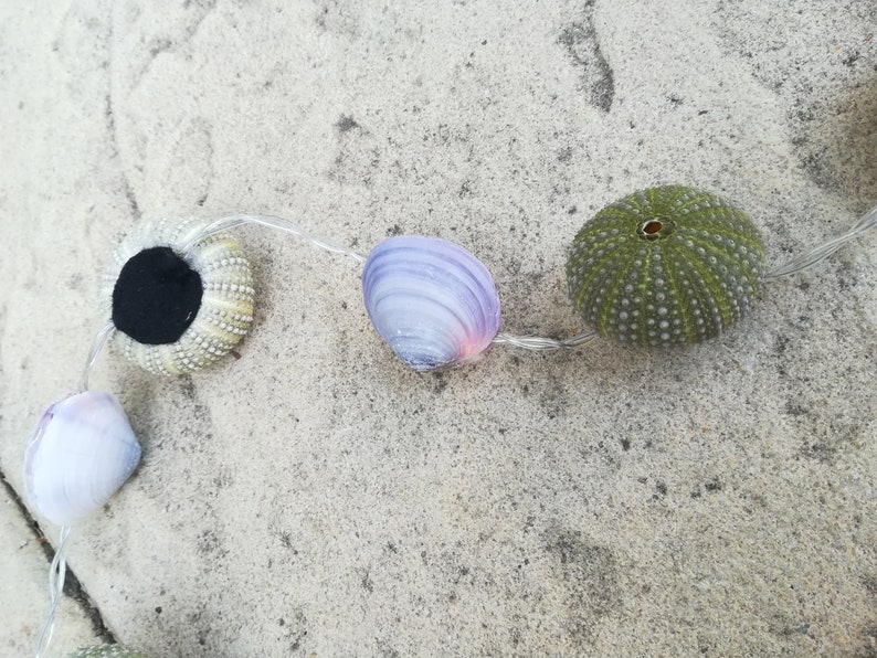 Sea Urchin & Seashells Light String Ball Light - Etsy