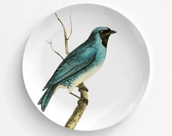 Fruit Eater Swallow, Bird Plate, Melamine Plate, Vintage Bird Illustration, decorative plate, Dinner Plate, 10" plate, bird design