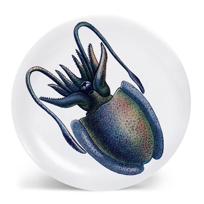 Blue Octopus Melamine Plate Octopus Plate Ocean Sea life Etsy