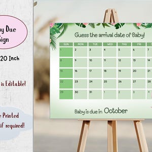 Paquete de decoraciones para baby shower con punto de ángel / Decoración para baby shower con temática de niña / Artículos para fiesta hawaiana / Baby shower de niña imagen 9