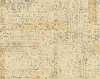 From Camden - Multi - Memoranda II - Tim Holtz Eclectic Elements -  2025 reorder - FreeSpirit PWTH092.multi