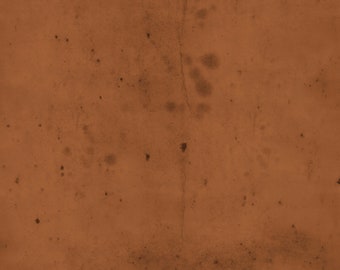 Sienna Provisions 2 New 2021- Tim Holtz Eclectic Elements -  2025 reorder FreeSpirit PWTH115.sienna