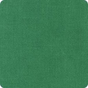 May include: A solid green fabric swatch. The fabric has a subtle texture and a slightly darker green hue.