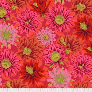 May include: A seamless pattern featuring vibrant pink, red, and orange cactus flowers on a coral background. The flowers have a detailed, almost 3D, appearance.