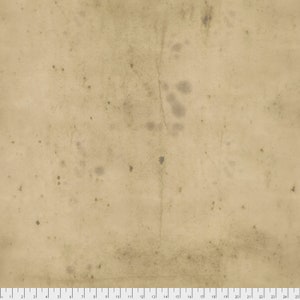 May include: A close-up of a textured, off-white paper background with brown spots and a vertical crease.