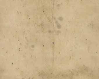 Linen Provisions- Tim Holtz Eclectic Elements -  2025 reorder FreeSpirit PWTH115.8line