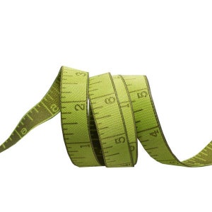 Measure Twice, Morning Green-HomeMade by Tula Pink renaissance ribbons SKU: TK-58 (5/8" x 1 yard)