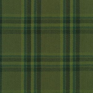 May include: Close-up of a green plaid fabric. The pattern features a grid of intersecting lines in varying shades of green and teal. The fabric has a textured appearance, suggesting a woven material, suitable for apparel or home decor.