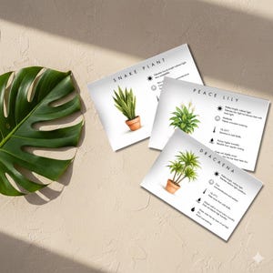 Pode incluir: Três guias de cuidados com plantas com ilustrações de uma espada-de-são-jorge, um lírio-da-paz e uma dracena. Cada guia inclui instruções de cuidado e um ícone de sol. Uma grande folha verde está no canto superior esquerdo.