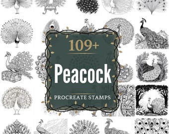 Peacock Procreate Stamps | PNGs | 109+ Detailed Illustrations (Digital Download)