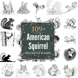 May include: A collection of 109+ American Squirrel Procreate Stamps. The image features various black and white illustrations of squirrels in different poses and settings, including climbing trees, eating nuts, and sitting on branches.