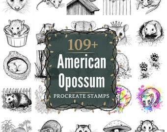 American Opossum Procreate Stamps | PNGs | 109+ Detailed Illustrations (Digital Download)