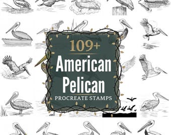 アメリカペリカンのProcreateスタンプ｜PNGファイル｜109点以上の詳細なイラスト（デジタルダウンロード）