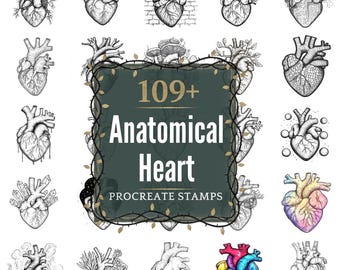 Anatomical Heart Procreate Stamps | PNGs | 109+ Detailed Illustrations (Digital Download)