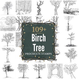 May include: A collection of 109+ black and white birch tree Procreate stamps. The image features various illustrations of birch trees in different styles, including detailed drawings of individual trees, forests, and tree details.