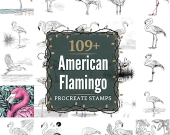 American Flamingo Procreate Stamps | PNGs | 109+ Detailed Illustrations (Digital Download)