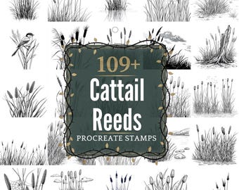 Cattail Reeds Procreate Stamps | PNGs | 109+ Detailed Illustrations (Digital Download)