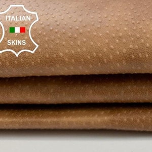 CAMEL BROWN DISTRESSED Textured Embossed Strong Italian Goatskin Goat Leather hide hides skin skins 5+sqf 0.9mm #C2706