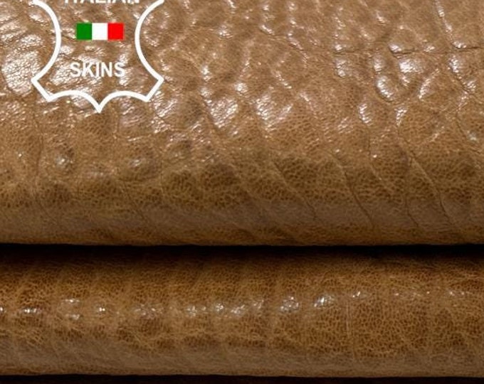 BROWN BUBBLY GRAINY Shiny Distressed Vegetable Tan Thick Italian Lambskin Sheep Lamb Leather hide hides skin skins 3+sqf 1.4mm #C2762