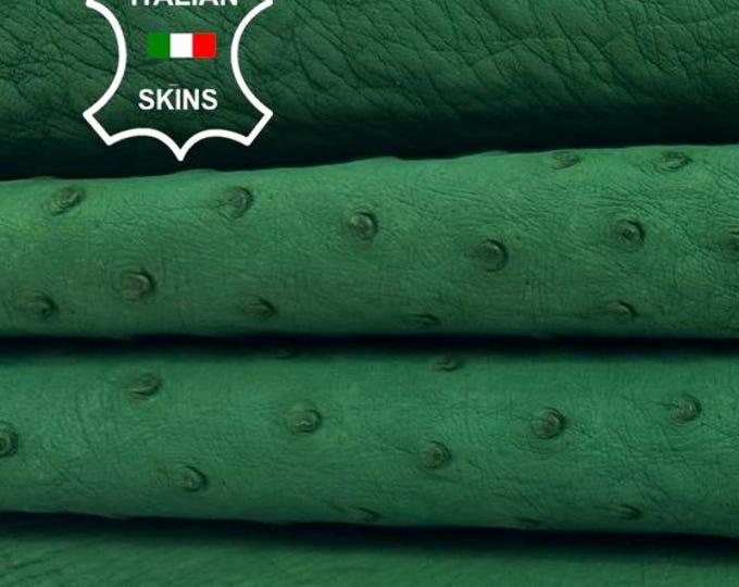 NATURAL GREEN OSTRICH Genuine Leather Italian Ostrich skin Ostrich leather hide hides skin skins 8sqf 1.0mm #C5155