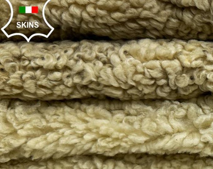 IVORY DIRTY USED Look Short Hair On sheepskin Lamb shearling fur hairy sheep Italian leather pack 5 skins total 30sqf 32"x44"  #C4657