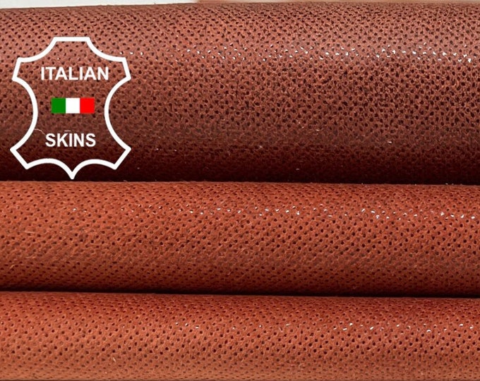 BRIC PRINTED VINTAGE Look Soft Italian Lambskin Lamb Sheep Leather hides hide skin skins 5+sqf 0.5mm #B1311