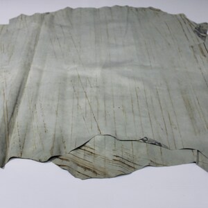 May include: A light gray leather hide with a textured surface. The leather has a natural, rustic look with visible lines and markings.