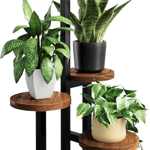 Bamworld 5-vånings hörnväxtställ metall trä