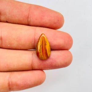 Petrified Wood Worry Stone, Pocket Thumb Palm Stones for Anxiety Stress Relief,
