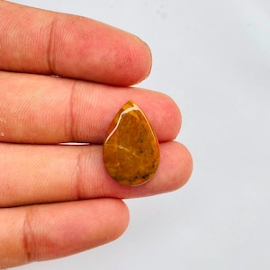 Petrified Wood Worry Stone, Pocket Thumb Palm Stones for Anxiety Stress Relief,