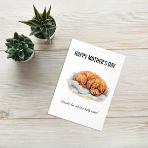 May include: A white Mother's Day card with the text "Happy Mother's Day" and "thanks for all the belly rubs!". The card features a watercolor illustration of a sleeping, brown dog on a blue and white cloud. Two small potted succulents are in the background.