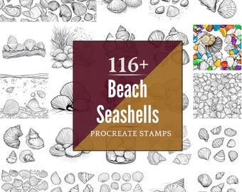 Beach Seashells Procreate Brushes & PNG Bundle | 116+ Designs | Instant Digital Download